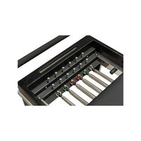 dumbbells set