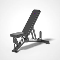 A2Z-1237D Commercial Dumbbell Bench