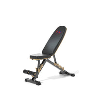 A2Z-1229 Dumbbell Bench