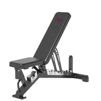A2Z-1237D Commercial Dumbbell Bench