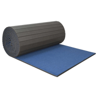 GYMNX Carpet Bonded Training Mat (L12m X W1.52m X H4cm)